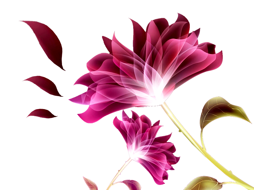 Dudas sobre diseño 2