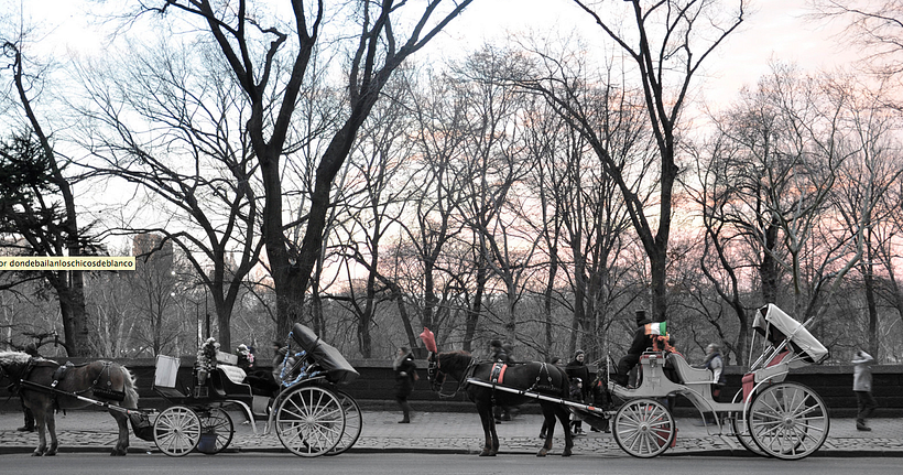 NEW YORK 3