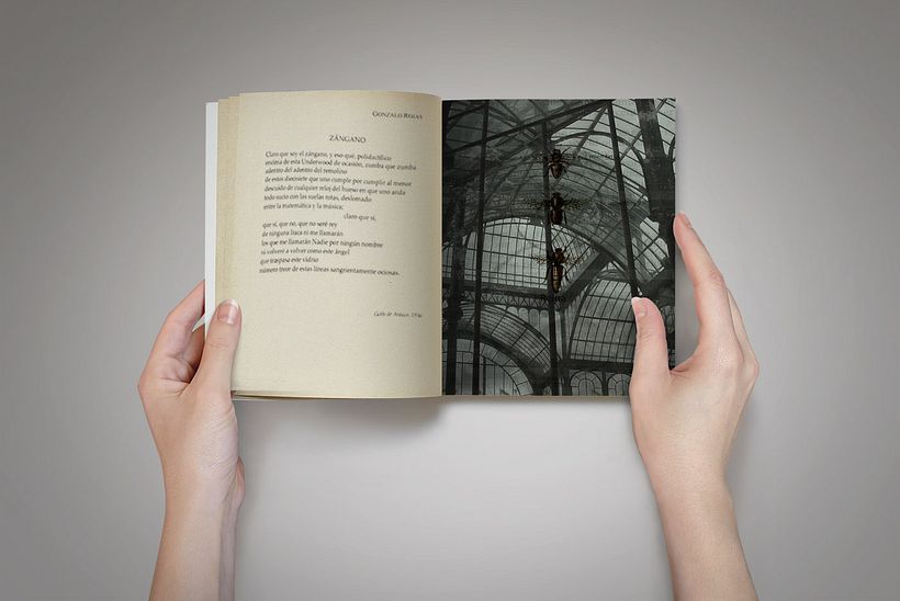Diseño e ilustración editorial 2