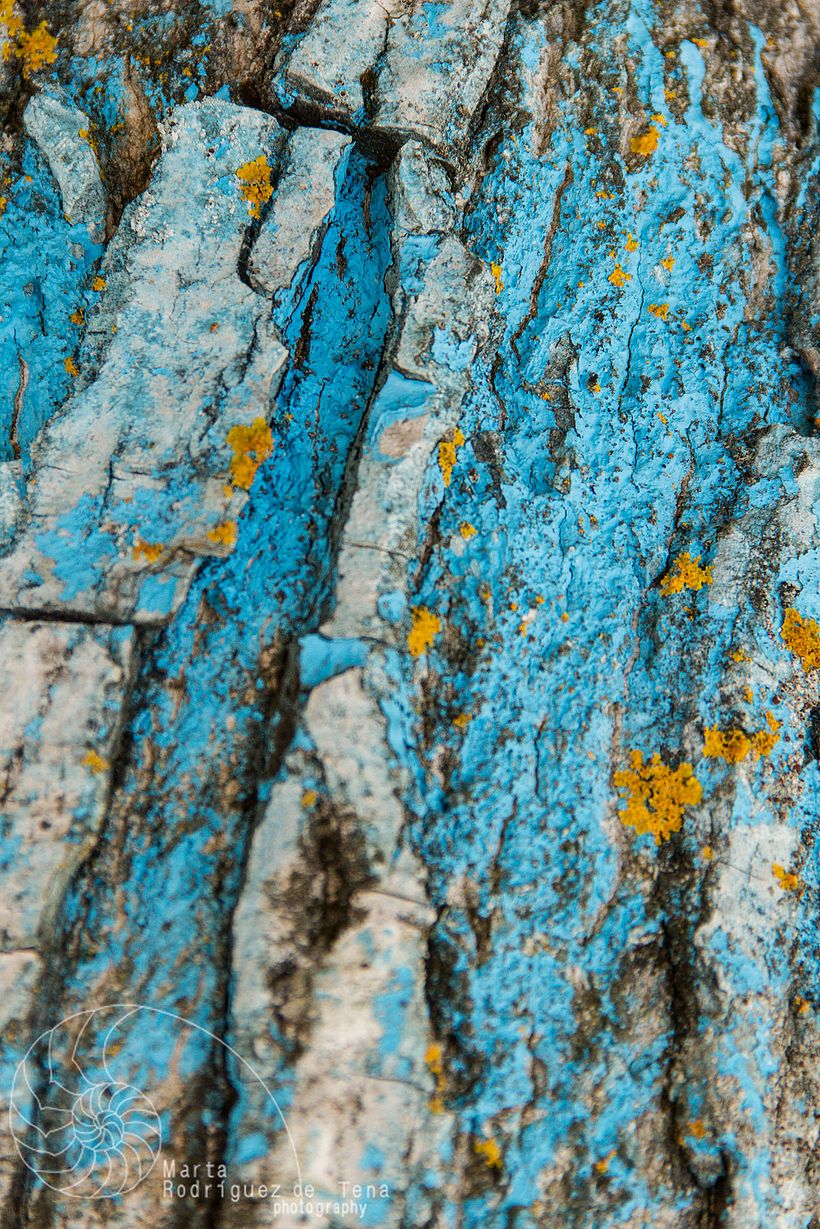 TEXTURAS - Fotografie