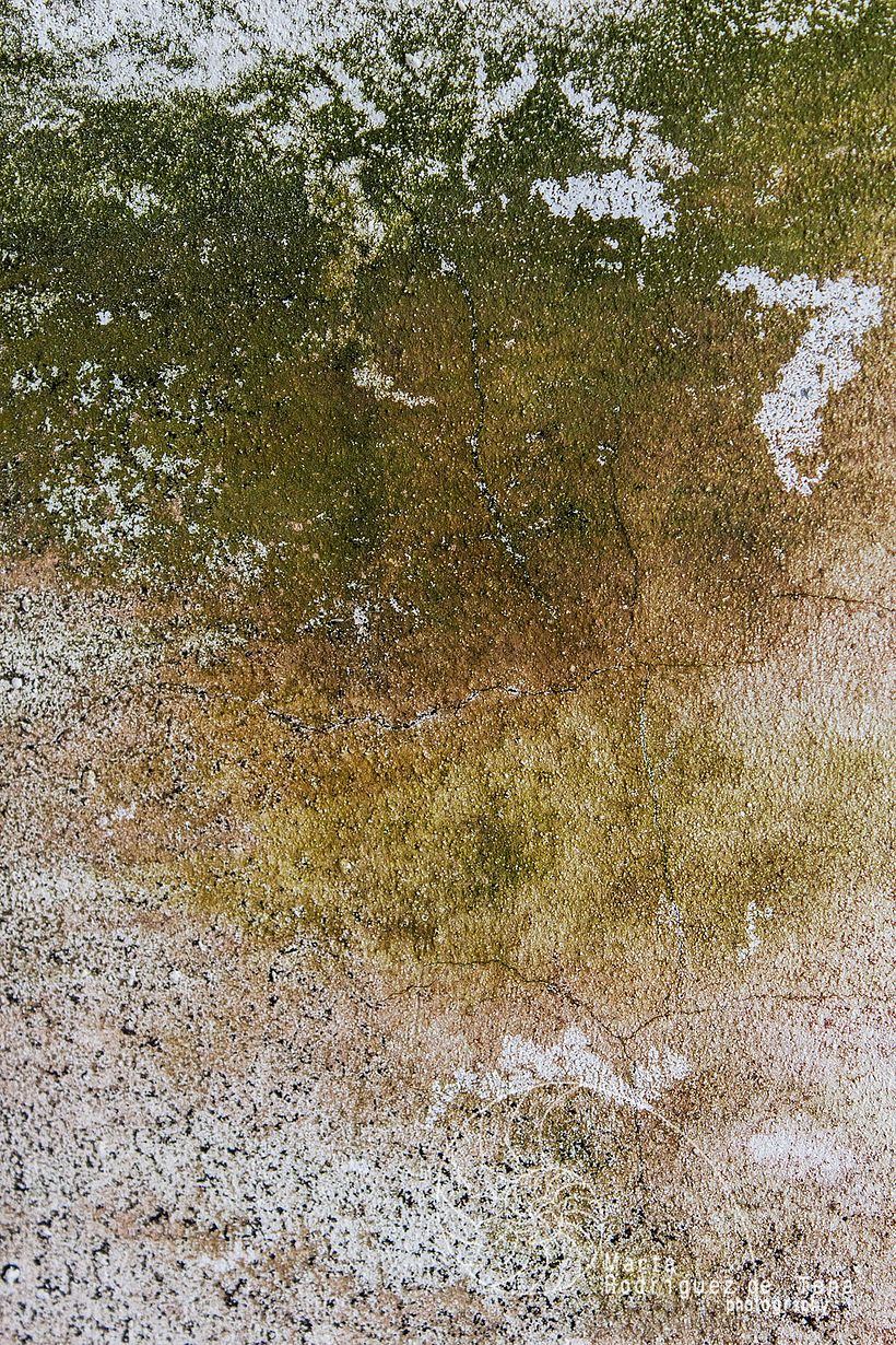 TEXTURAS - Fotografie