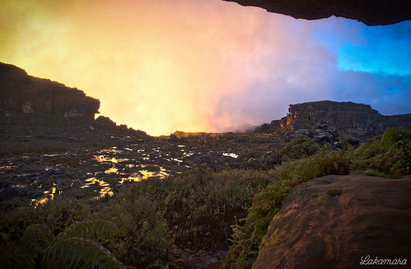 Roraima Tepuy, Venezuela. 11