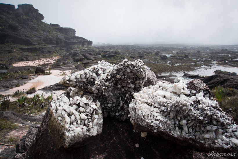 Roraima Tepuy, Venezuela. 13