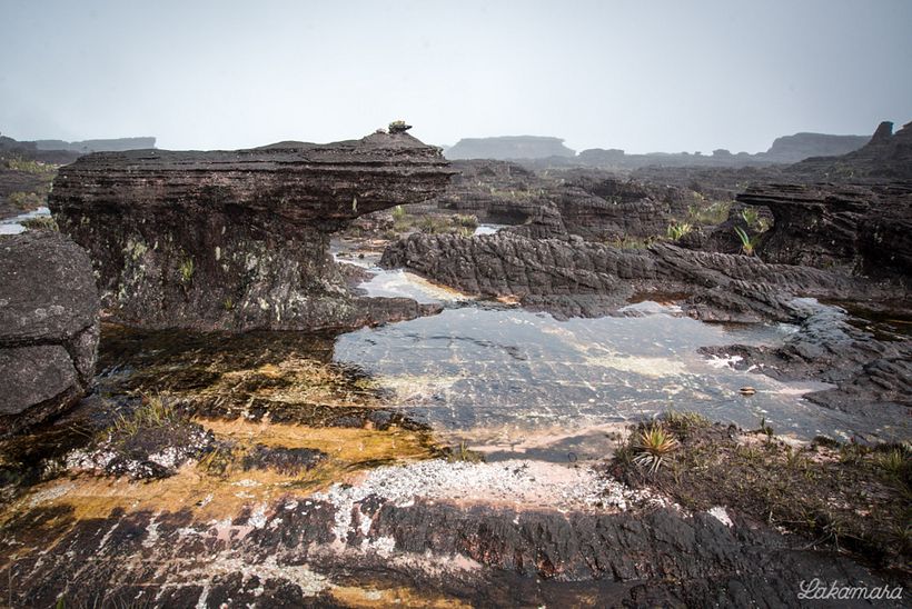 Roraima Tepuy, Venezuela. 15