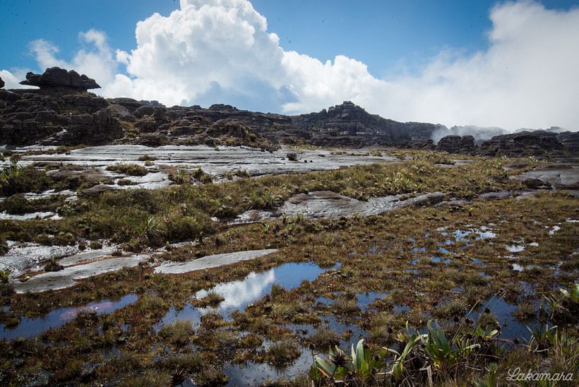 Roraima Tepuy, Venezuela. 14