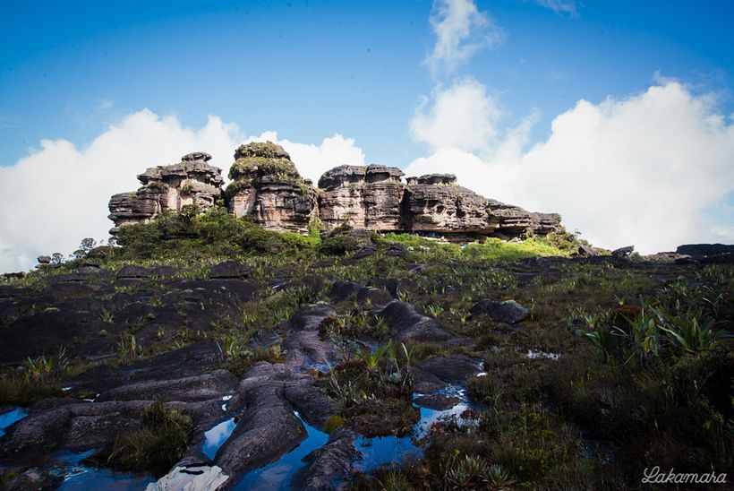 Roraima Tepuy, Venezuela. 9