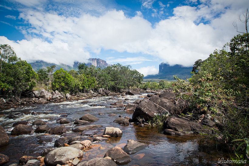Roraima Tepuy, Venezuela. 10
