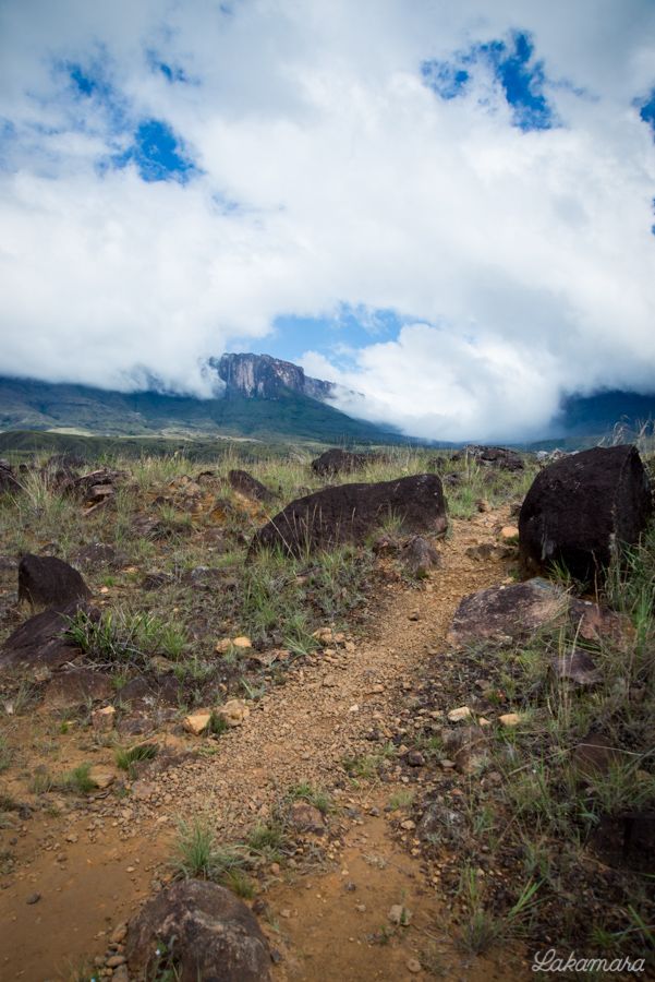 Roraima Tepuy, Venezuela. 5