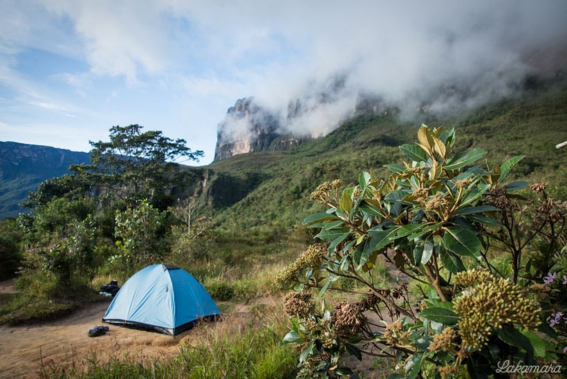 Roraima Tepuy, Venezuela. 1
