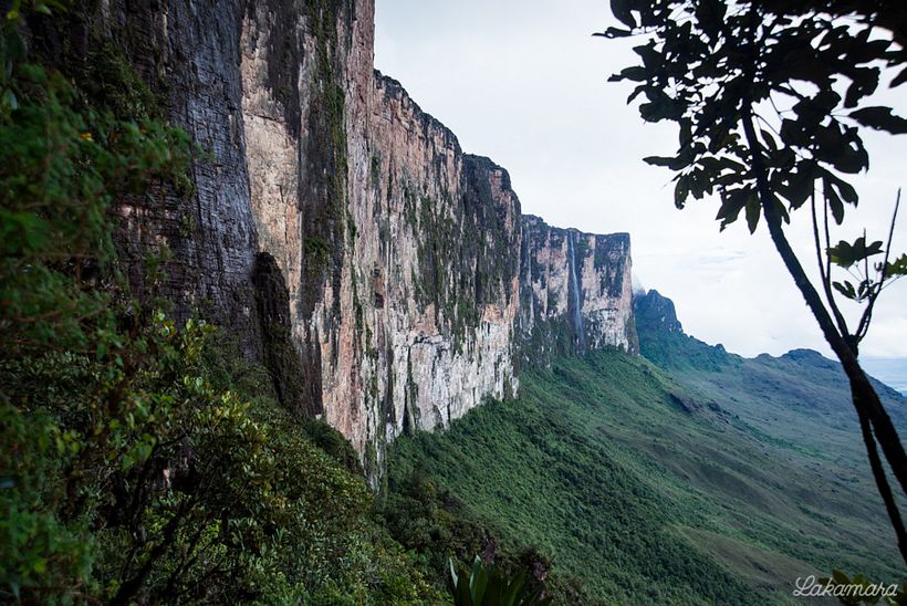 Roraima Tepuy, Venezuela. 4
