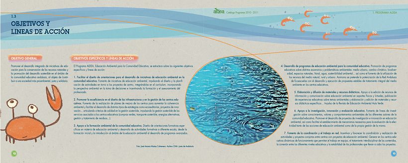 Programa Aldea 0