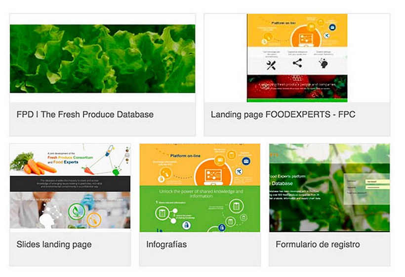 Diseñadora web freelance FOODEXPERTS 0