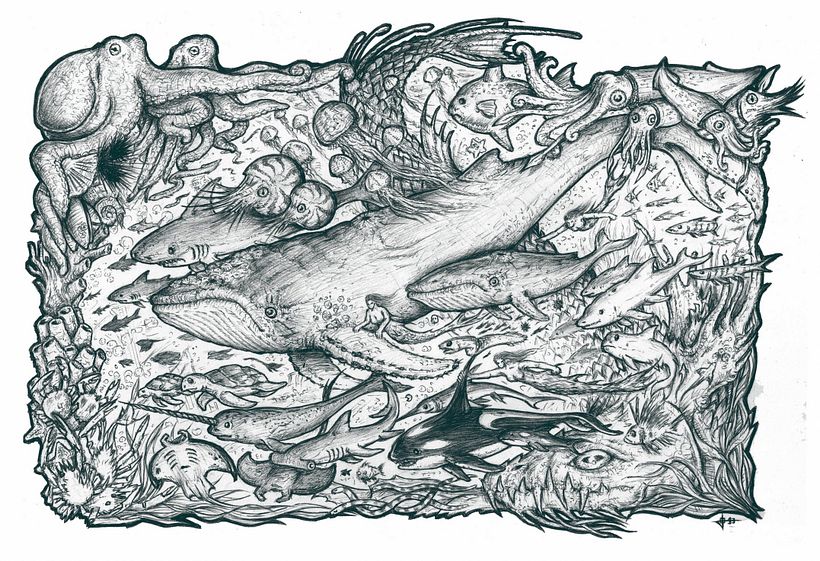 Dorsal Oceanica 0