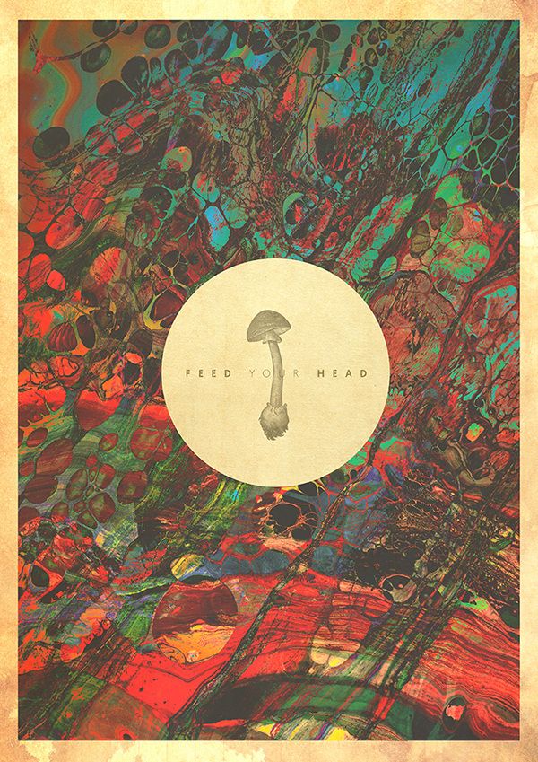 Feed Your Head 1