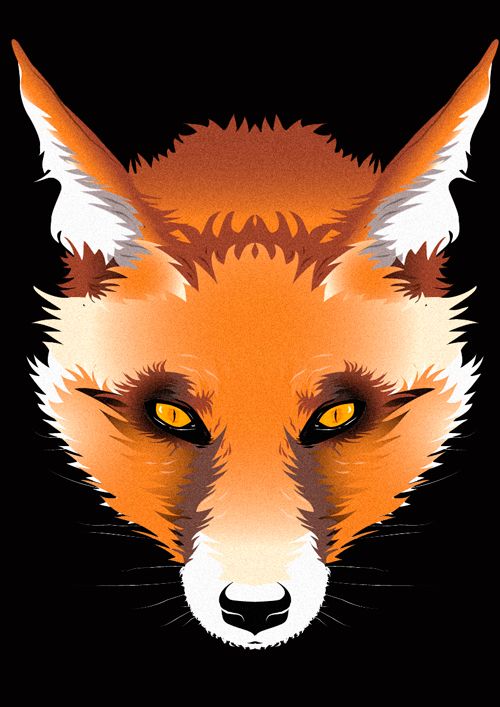 Fox -1