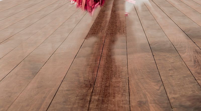 Campaña para compañía folclórica (danza y música) 8