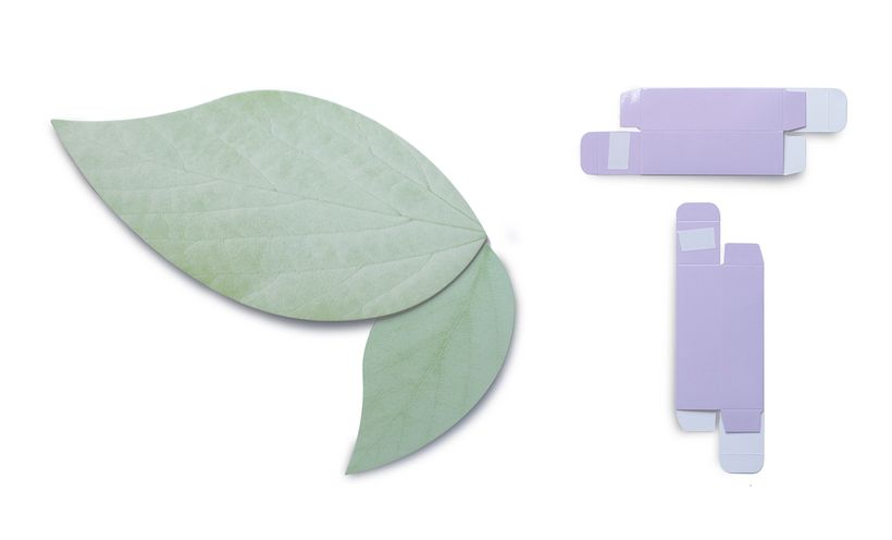 Crema Hidratante Facial Hidra Active 5