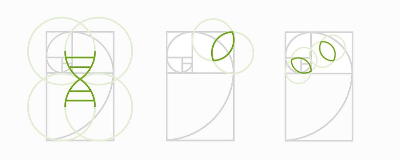 El Jardín de Mendel 2