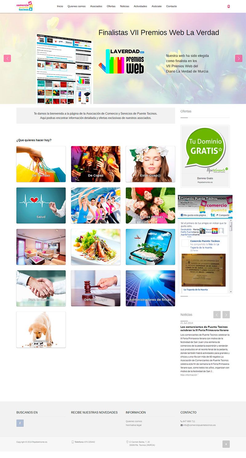 Web Comercio Puente Tocinos 0