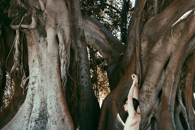 Las hadas no existen 1