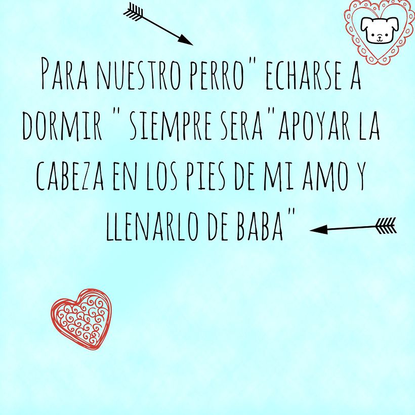 Mi perro quiere... 0