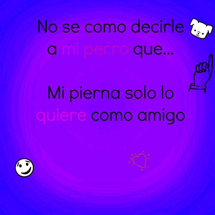 Mi perro quiere... 1