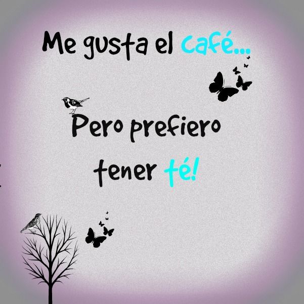 Mi perro quiere... 2