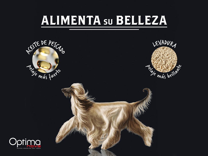 Creatividades digitales 31