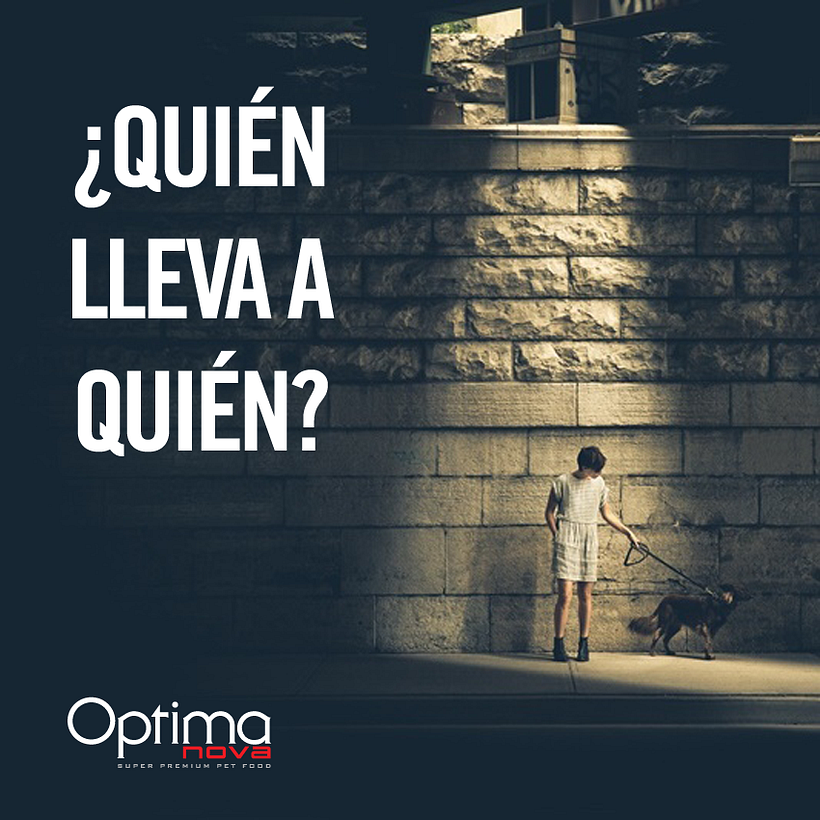 Creatividades digitales 27