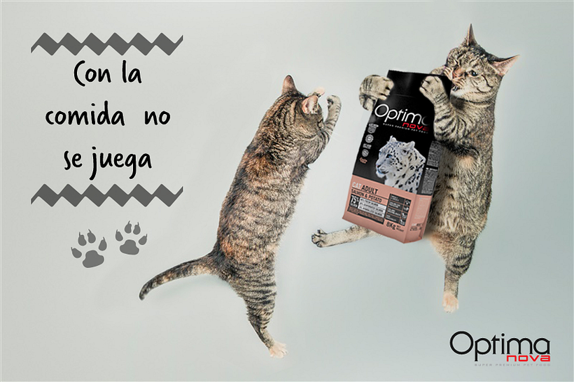 Creatividades digitales 26