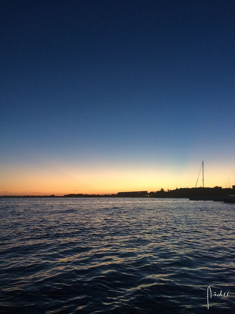 FOTOGRAFÍA: Me gusta capturar momentos, colores y la naturaleza.  1