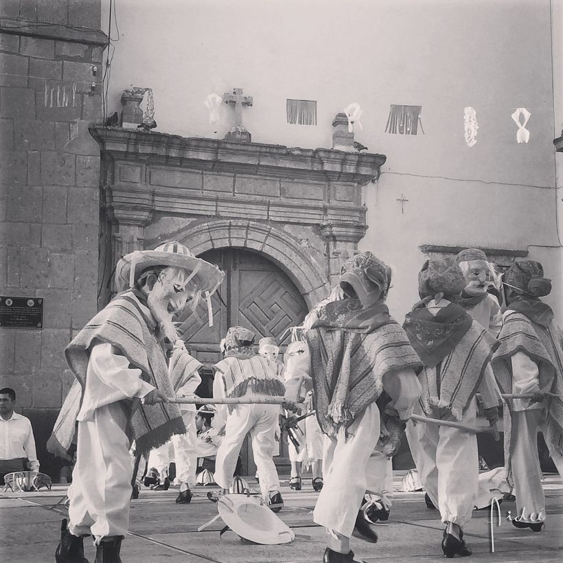 FOTOGRAFÍA: Me gusta capturar momentos, colores y la naturaleza.  3