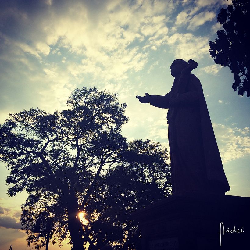 FOTOGRAFÍA: Me gusta capturar momentos, colores y la naturaleza.  8