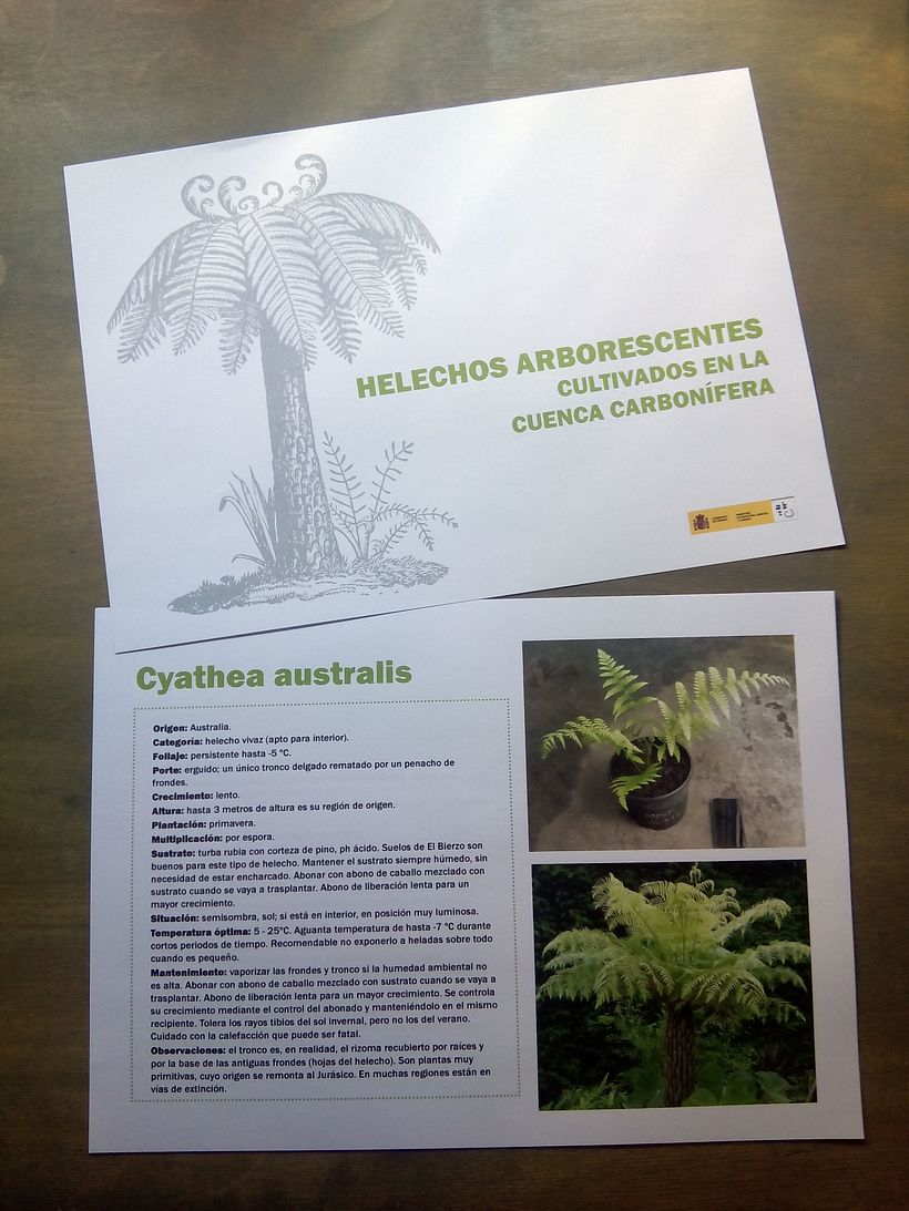 Dossier_varios 5