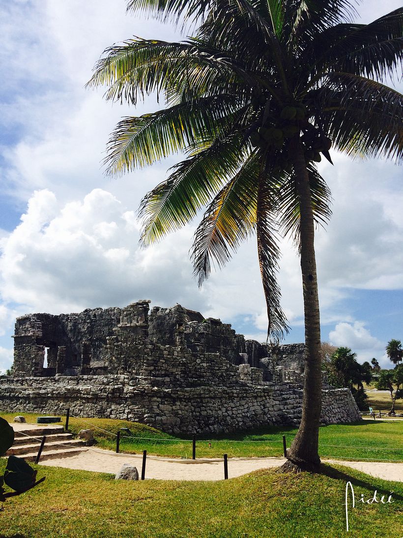 FOTOGRAFÍA 2 COLORES DE MÉXICO -1