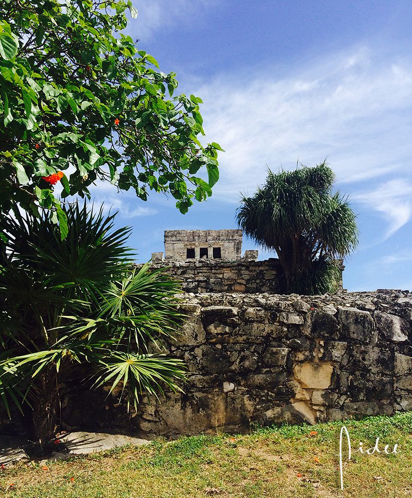 FOTOGRAFÍA 2 COLORES DE MÉXICO 2