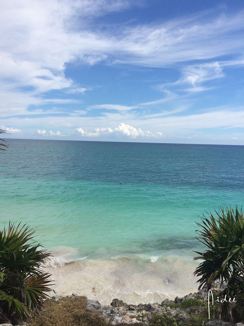 FOTOGRAFÍA 2 COLORES DE MÉXICO 4