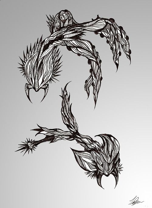 Ilustraciones | bocetos 1 4