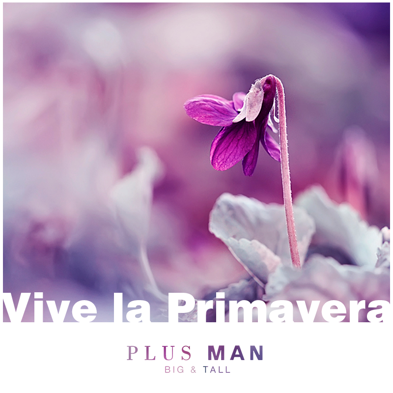 PLUS MAN 8