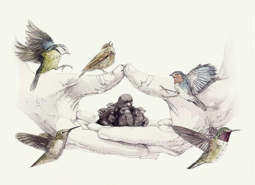 Dhyani Mudra - Ilustrație tradițională