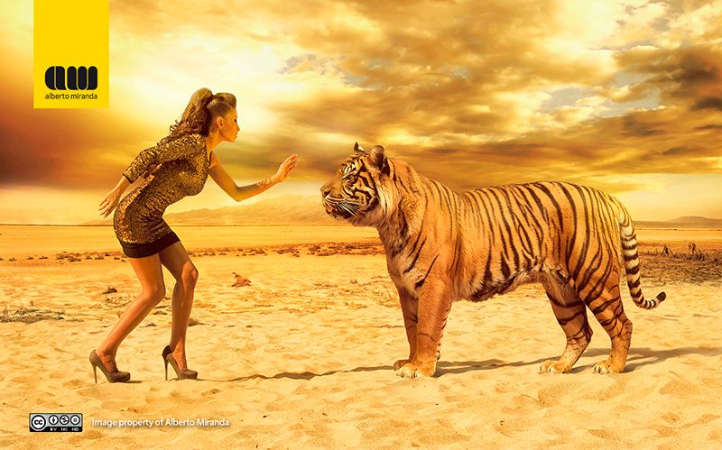Animals 1