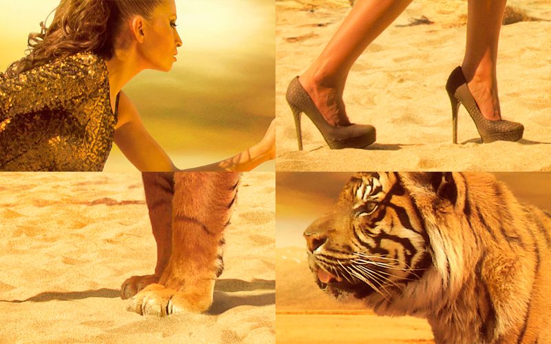Animals 2
