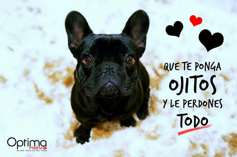 Creatividades digitales 28