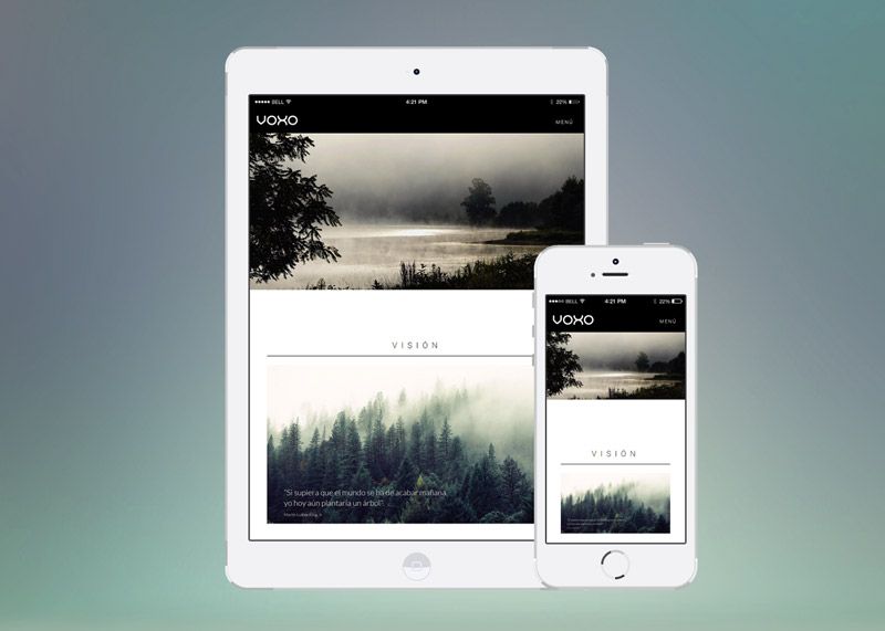 Voxo Web Site 2