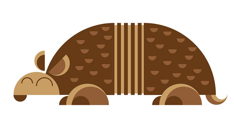 Animales 1