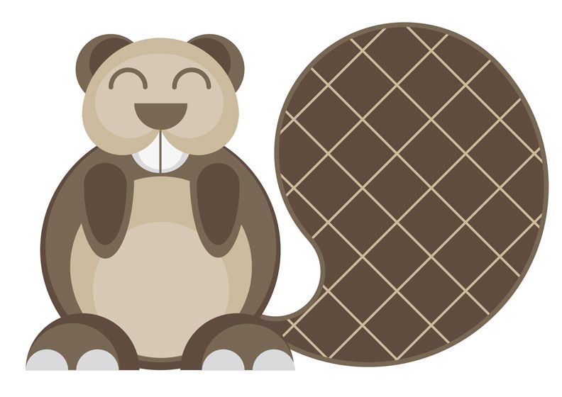 Animales 5