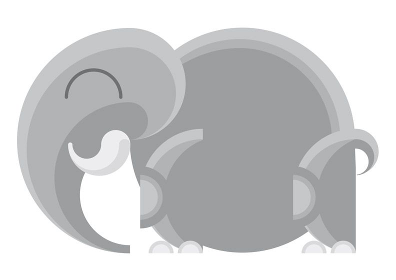 Animales 7