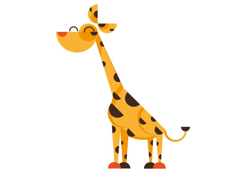 Animales 11