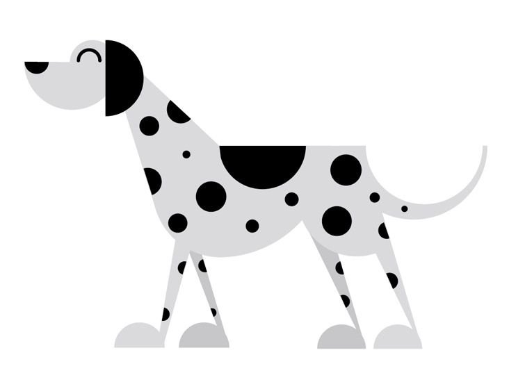 Animales 16