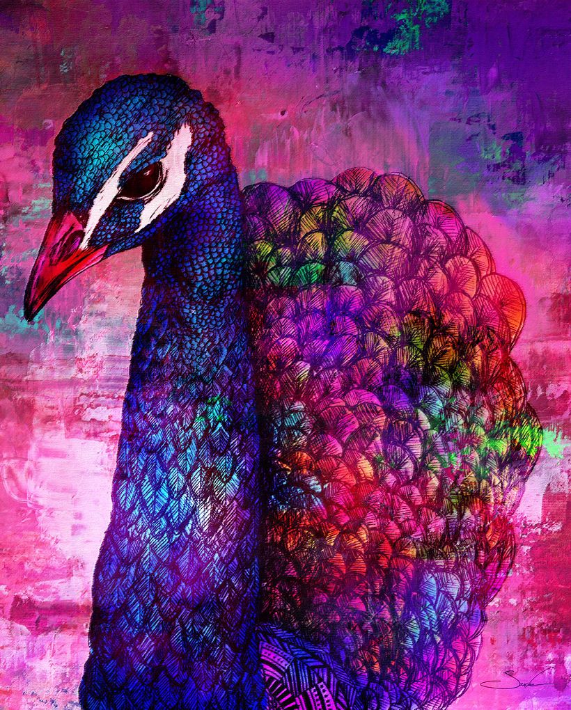 Illustrations 6